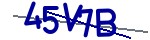 Enter the character string shown in the picture